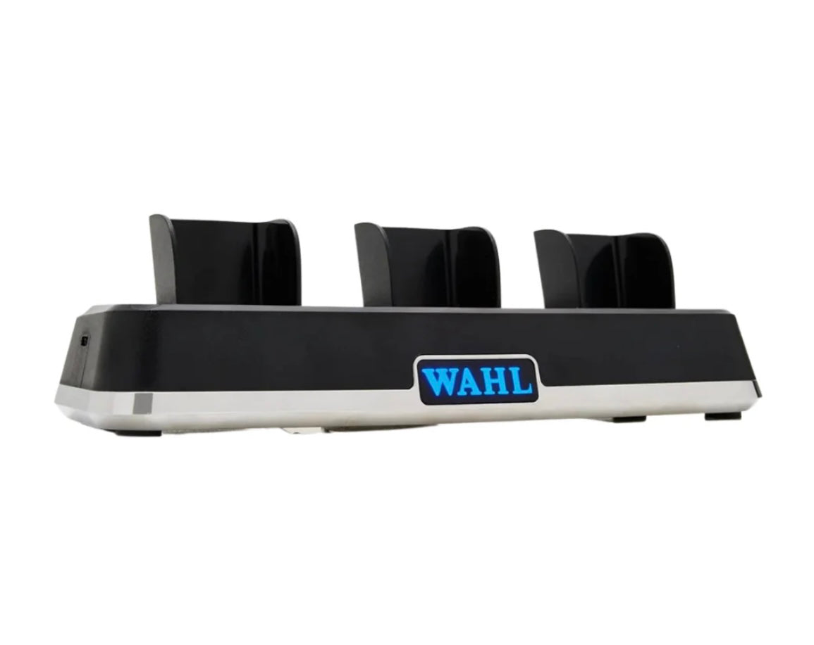WAHL Power Station
